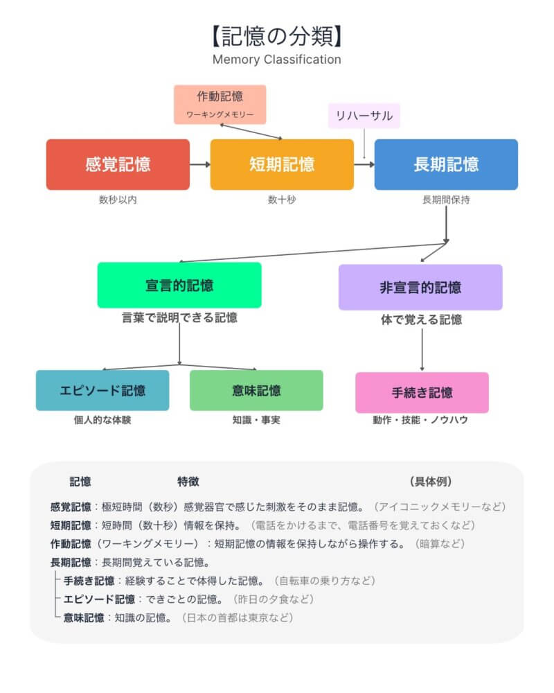 記憶の分類