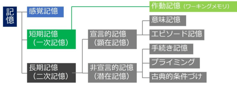 記憶の種類