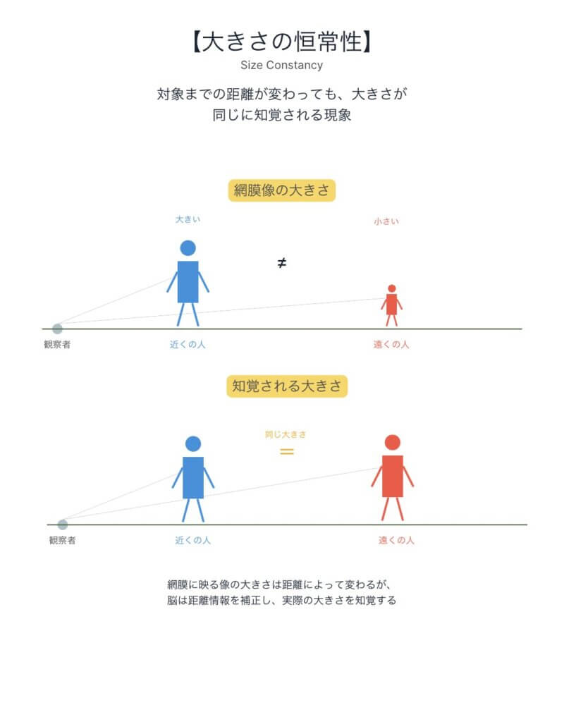 大きさの恒常性