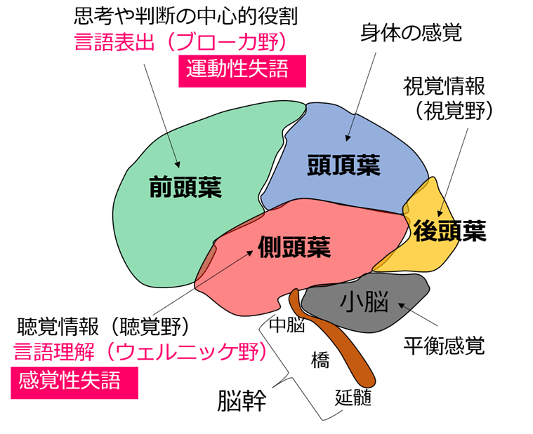 失語症
